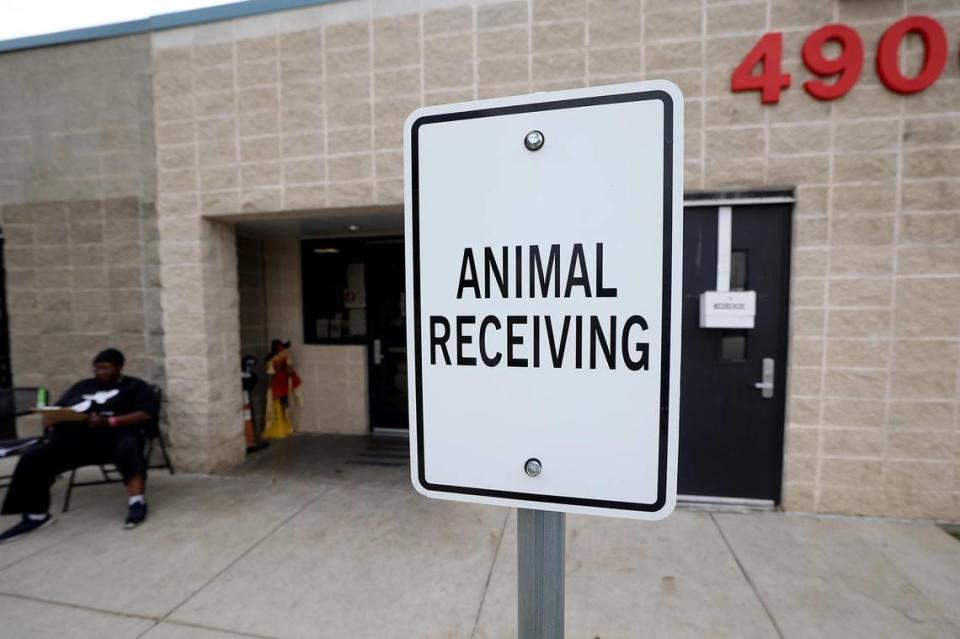 People surrendering animals wait outside of the intake office at Fort Worth’s south shelter, the Chuck & Brenda Silcox Animal Care & Control Center, on October 25, 2023.