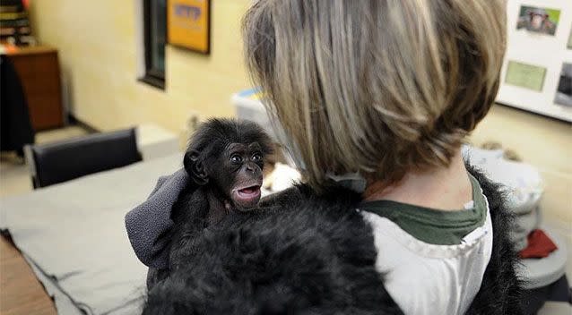 Baby Keeva is moving to a new home to meet her surrogate mum. Photo: Facebook