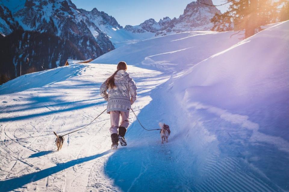 俄羅斯一名10歲女童，日前慘遭突如其來的暴風雪受困於戶外一整夜，但她卻機智地靠著抱住狗狗來保持體溫，成功度過極寒冷的夜晚，最後奇蹟生還獲救。（示意圖／pixabay）