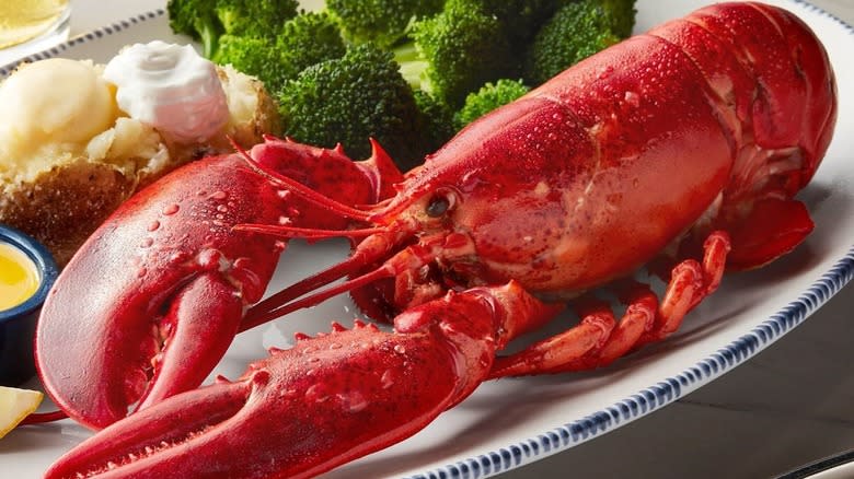 Steamed lobster on a plate 