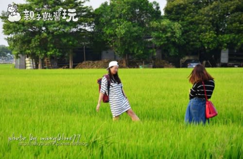 整個村莊就是我的美術館！台南土溝農村美術館～跟著幾米到比西里岸奇幻漂流