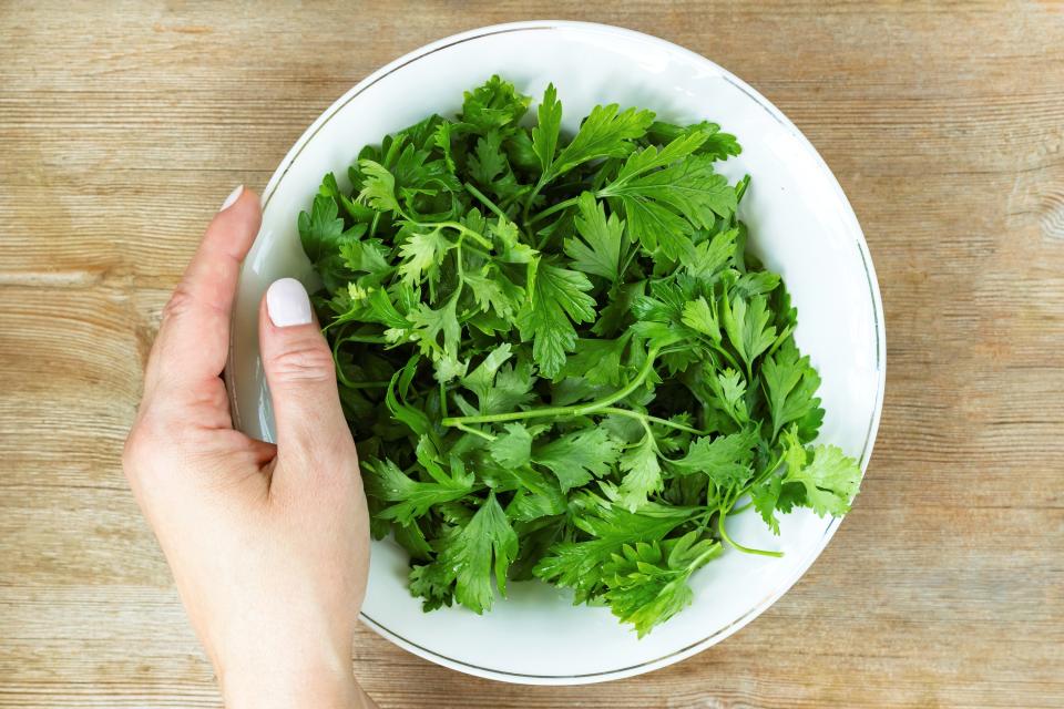 Cilantro in a bowl