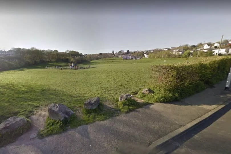 Frogmore Field in Eggbuckland -Credit:GoogleMaps