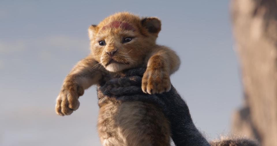 Baby Simba is shown off to the denizens of Pride Rock in 