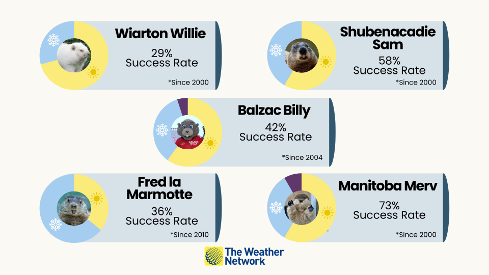 Groundhog Day success rate since 2020