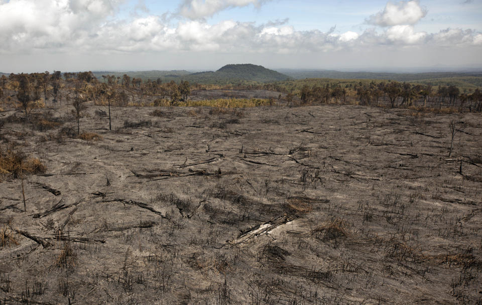 An area of forest that was burned to the ground by forest fires is seen on the slopes of Mount Kenya, the second-highest peak in Africa at 5,199 meters (17,057 feet), in Kenya Tuesday, March 20, 2012. Fires that have been raging across Mount Kenya may have been set by poachers trying to create a diversion from their illegal attacks on animals, a wildlife official said Tuesday. (AP Photo/Ben Curtis)