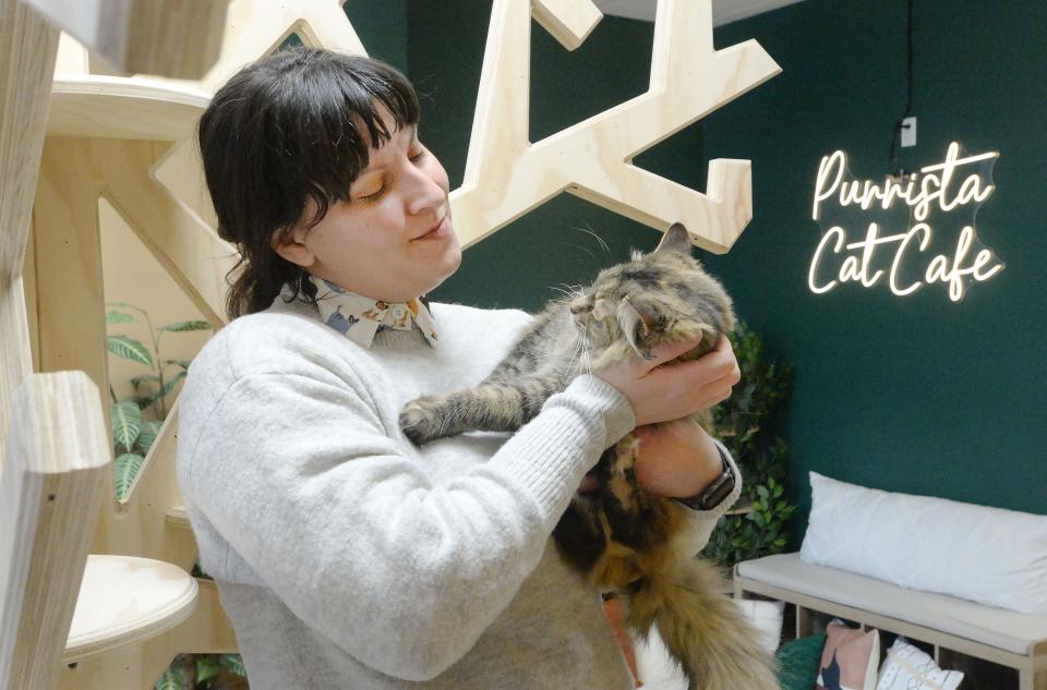 Purrista Cat Cafe owner Dena Rupp holds Marlena, a two-year-old female, at the new cat cafe and coffee shop in Erie. Rupp, 40, is a graphic designer who created much of the feline furnishings including the wooden "tree," left.