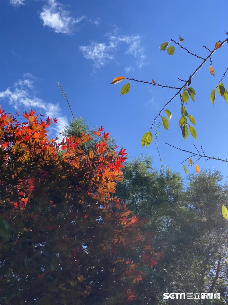 在當今社會緊湊、忙碌的生活下，這是一處能享受心靈與自然合而為一的世外桃源。（圖／記者林恩如攝影）