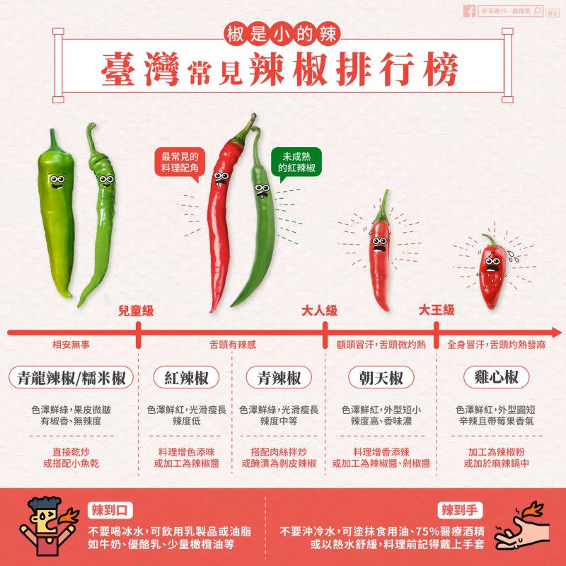 ▲農糧署分享各種台灣常見的辣椒，也推薦如果被辣椒辣到應該選擇乳製品來緩解。（圖/鮮享農YA-農糧署提供）