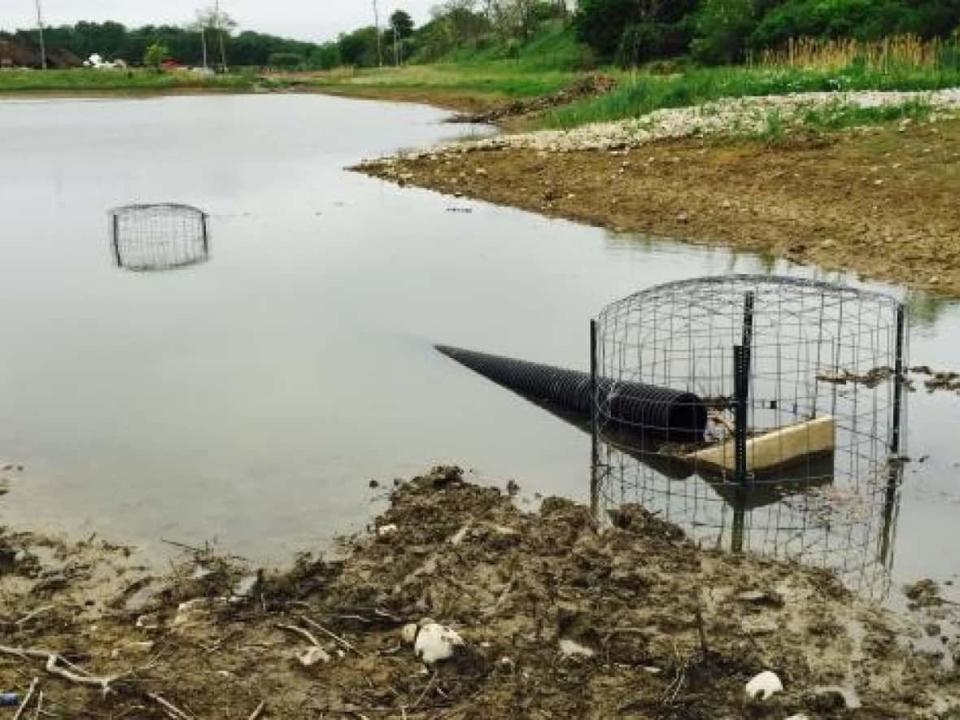 The City of London uses flow devices called 'beaver deceivers' to preventing flooding of storm ponds and to protect local neighbourhoods from flooding.  (City of London - image credit)