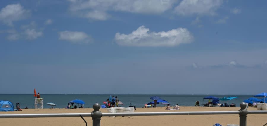 A visualization created to show what the view of the 176 wind turbines could look like from the Virginia Beach Boardwalk at 17th Street (Courtesy: Bureau of Ocean Energy Management)