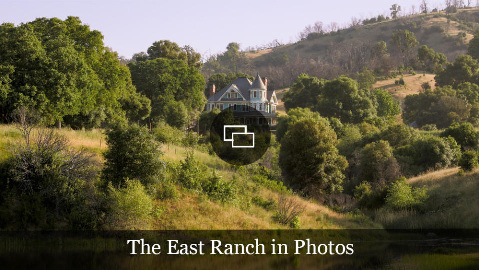 the east ranch auction