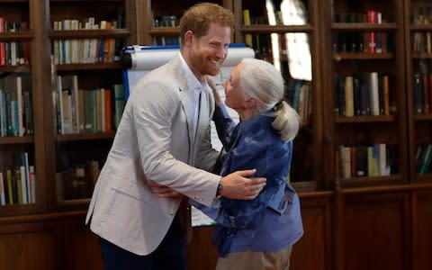 The Duke of Sussex hugs Dr Jane Goodall - Credit: Kirsty Wigglesworth/PA