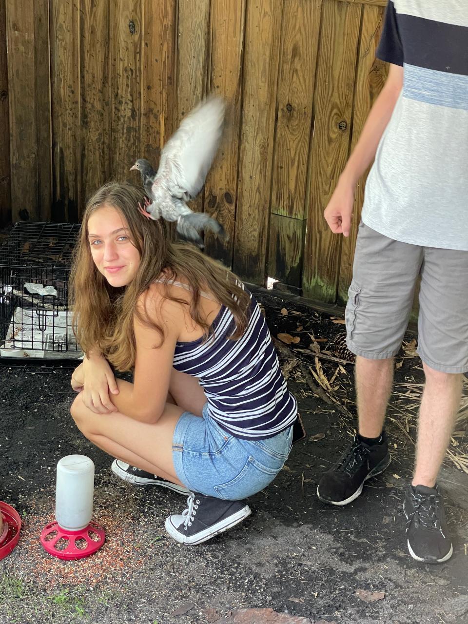 Fab Lab Community Innovation Program student Hailie Palmer offers a shoulder for Bubbles, a special pigeon that will be getting a new home at the Crowley Museum and Nature Center.