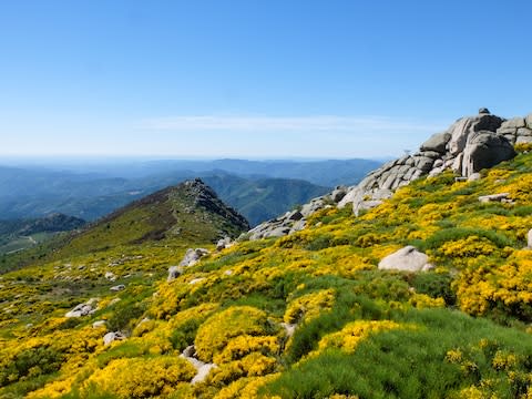 The Cévennes mountains - Credit: GETTY