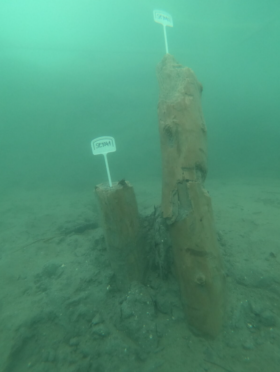 Wooden artifacts found by divers Photo from the Institute for Underwater Archaeology