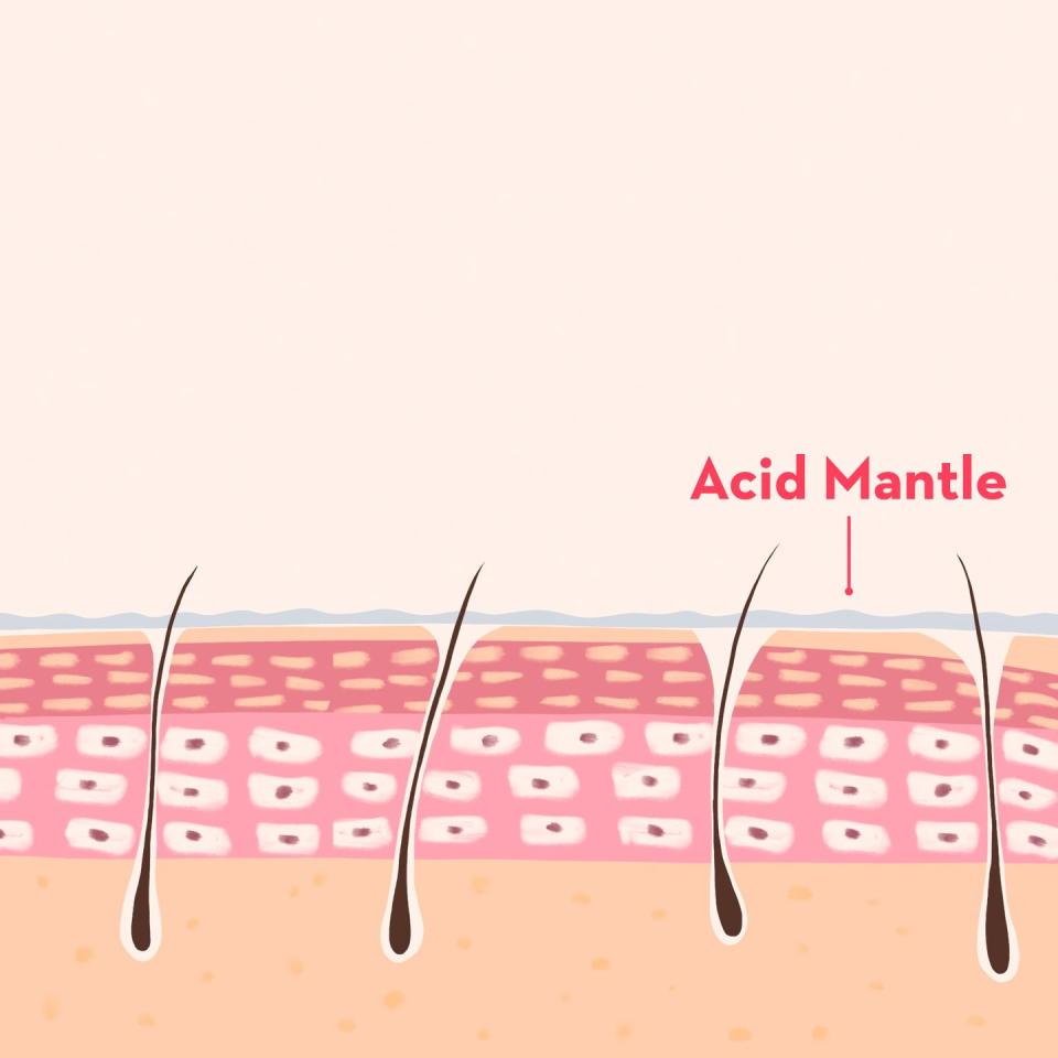 illustrated skin acid mantle