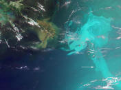 A false-color image created by combining data from Multi-angle Imaging SpectroRadiometer (MISR) instrument aboard NASA's Terra spacecraft shows the oil spill in the Gulf of Mexico in this image captured on May 17, 2010, at around 16:40 UTC (11:40 am CDT). REUTERS/NASA/Goddard/Terra/ Handout