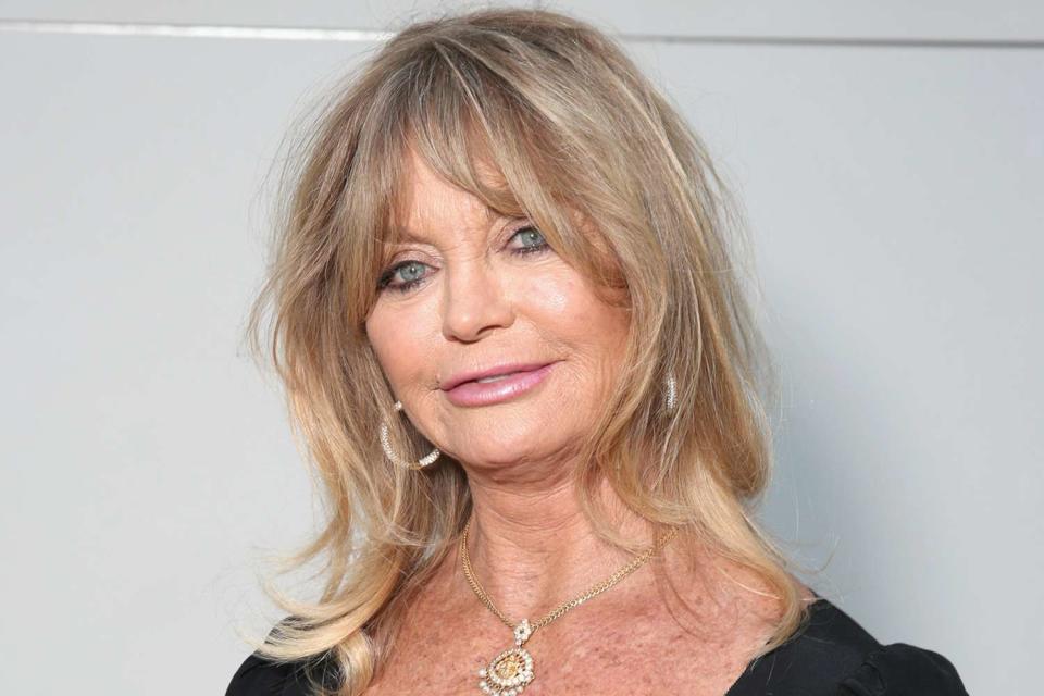 <p>Todd Williamson/Getty Images</p> Goldie Hawn