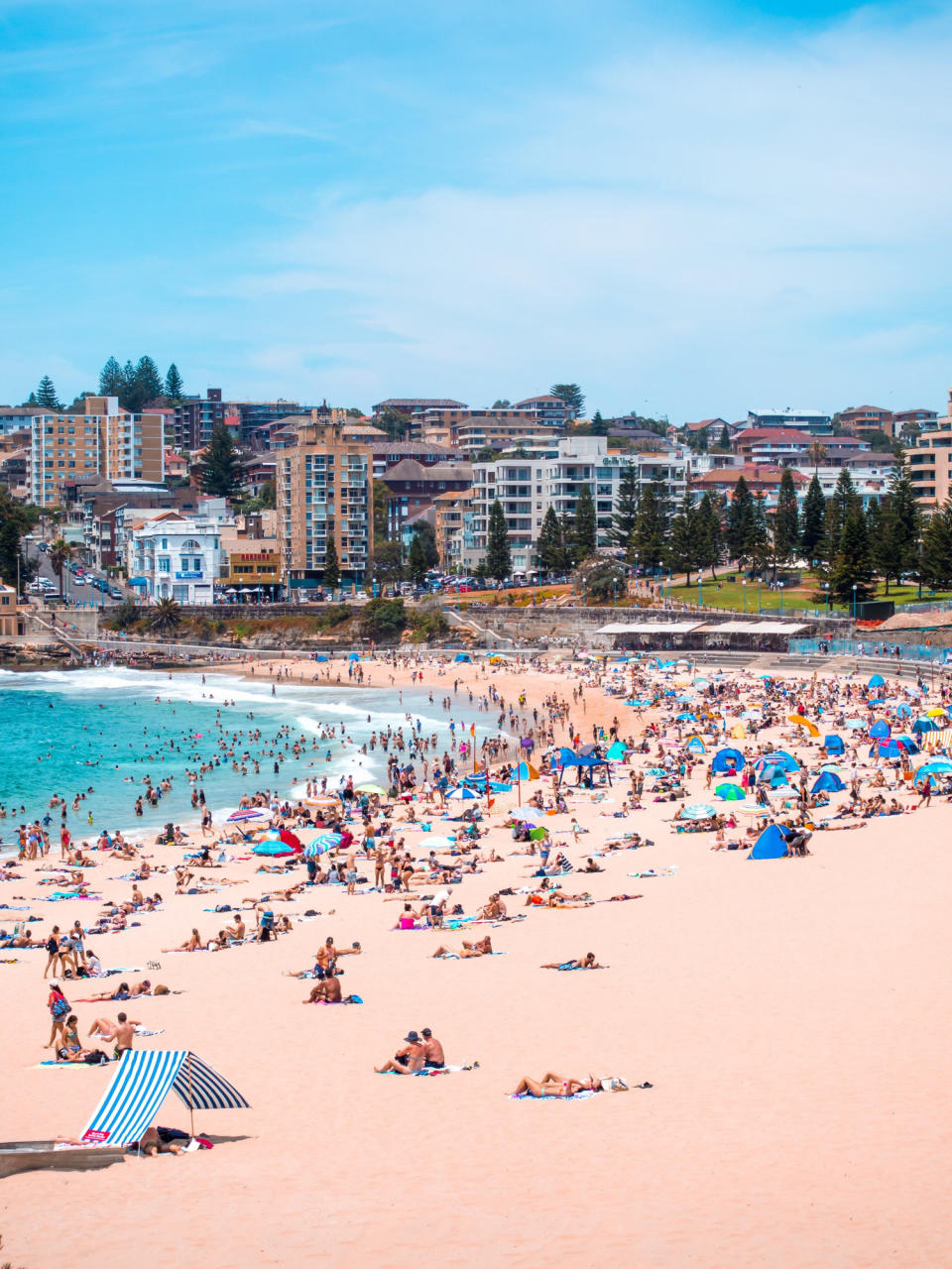 A busy Bondi beach in Sydney, Australia