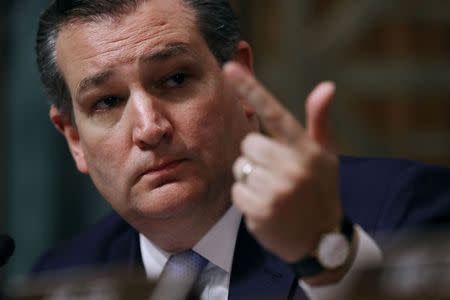 Senate Judiciary Committee member Sen. Ted Cruz (R-TX) questions Judge Brett Kavanaugh during his Supreme Court confirmation hearing in the Dirksen Senate Office Building on Capitol Hill in Washington, DC, U.S., September 27, 2018. Win McNamee/Pool via REUTERS