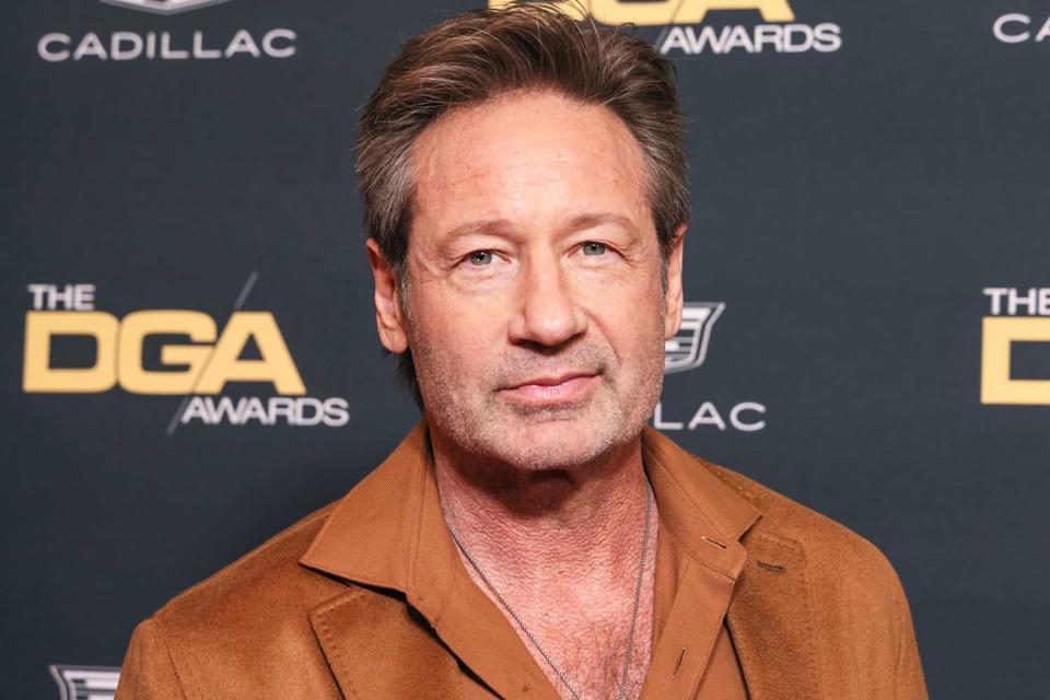 <p>Rodin Eckenroth/WireImage</p> David Duchovny in Beverly Hills, California in February 2024. 