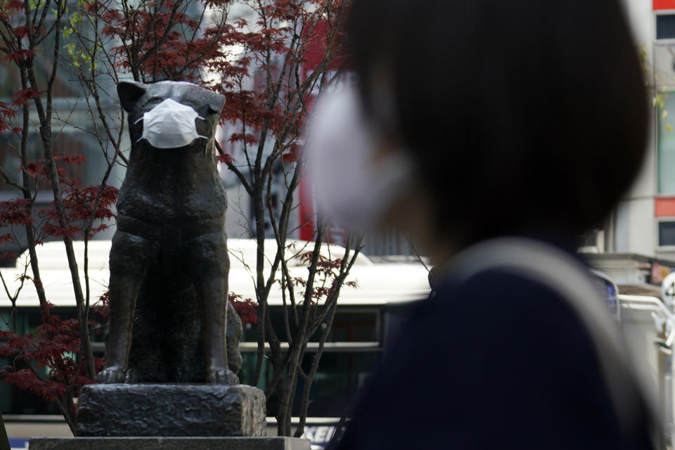 A statue of a Japanese Akita dog named "Hachiko" wearing a face mask is seen near Shibuya Station Wednesday, April 8, 2020, in Tokyo. Japanese Prime Minister Shinzo Abe declared a state of emergency on Tuesday for Tokyo and six other prefectures to ramp up defenses against the spread of the new coronavirus. Hachiko has waited for his owner University of Tokyo Prof. Eizaburo Ueno at the same place by the station every afternoon, expecting him to return home for nearly 11 years even after Ueno's death at work. (AP Photo/Eugene Hoshiko)