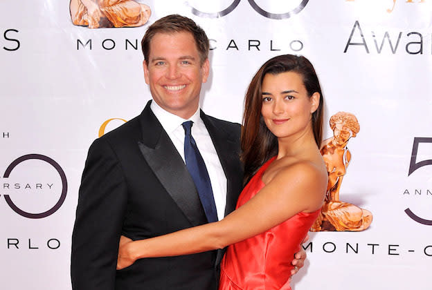 Who Has Been Cast in the Tony/Ziva Spinoff?
