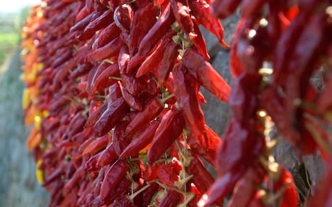 Red chillies ready to use - Credit: Alamy