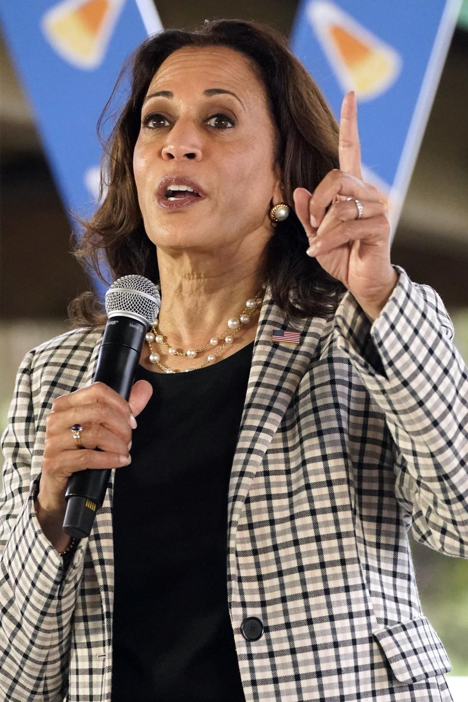 Democratic vice presidential candidate Sen. Kamala Harris, D-Calif., speaks to supporters during a get out the vote rally, Saturday, Oct. 31, 2020, at Snyder Park in Fort Lauderdale, Fla. (AP Photo/Wilfredo Lee)