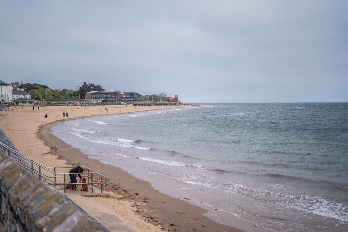 Exmouth beach, the town’s ‘underappreciated asset’ (Richard Collett)