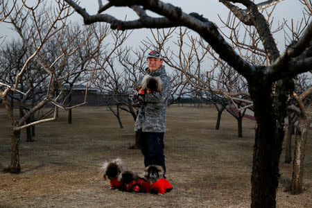 Qian Hao poses with his imported Pekingese dogs Mixiu, Doudou, Namei and Qiaoba in the park where he takes them for a walk in Beijing, China, February 8, 2018. Picture taken February 8, 2018. REUTERS/Thomas Peter