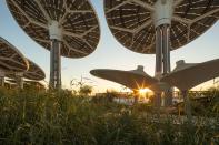 Defined by an expansive 130-meter-wide canopy covered with 1,055 solar panels, which at first sight might look like sleekly designed flying saucers that have just landed on Planet Earth, it hopes to set an example for sustainable design and is net zero for both water and energy. Designed by U.K.-based Grimshaw Architects, the panels on the sand-colored canopy of Terra, a title derived from the Latin word for “earth,” generate four gigawatts of alternative energy per year—enough electricity to charge over 900,000 mobile phones. Terra, which was made for the hefty price tag of $272 million, is designed to produce as much energy as its takes in. The panels, which could also be viewed as metaphorical futuristic palm trees, rise up from the desert sands throughout Expo 2020’s extensive area, which cover 438 hectares (1,082 acres).