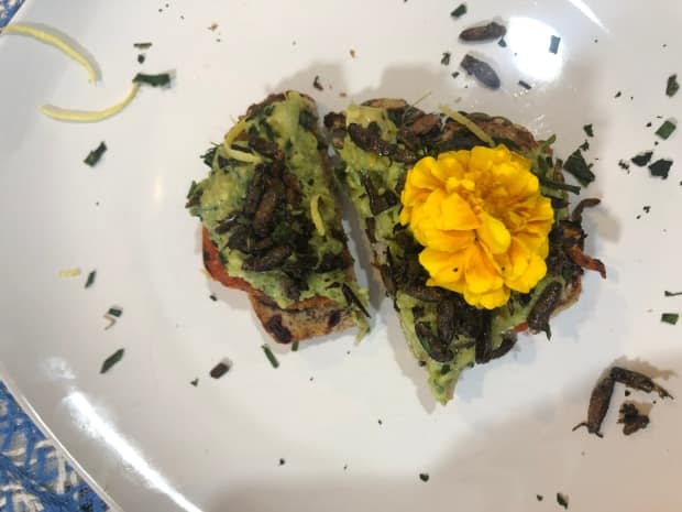 Cicadas are adding a crispy crunch to dishes like avocado toast after the thumb-sized bugs began emerging en masse in the eastern United States this spring, becoming the 'I dare you' snack of the year in the country.  (Sumayya Tobah/CBC - image credit)