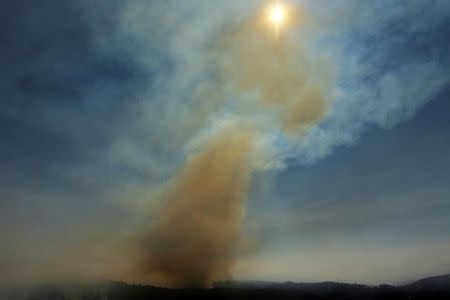 Smoke from Williams Canyon fills the sky during the Soberanes Fire near Carmel Valley, California, U.S. July 29, 2016. REUTERS/Michael Fiala