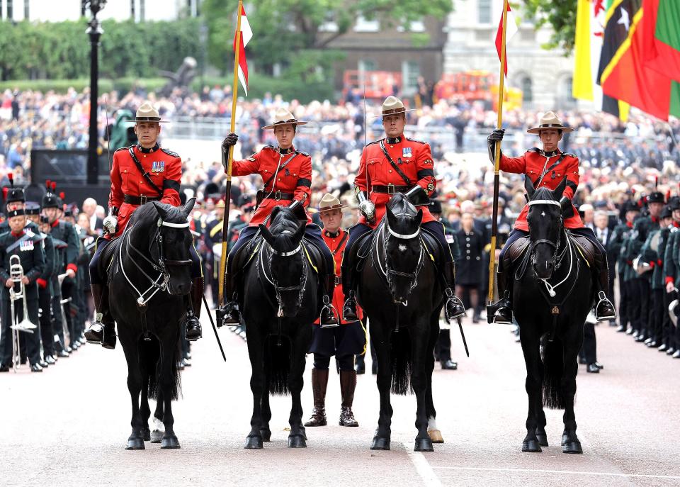 royal canadian mounties