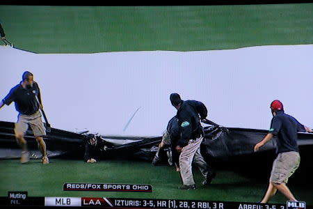 A kid got swallowed by a tarp at an MLB playoff game 