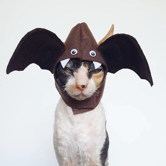 <a href="https://www.etsy.com/listing/554842965/boo-bat-cat-dog-and-small-pet-hat" target="_blank">Get it here</a>.&nbsp;