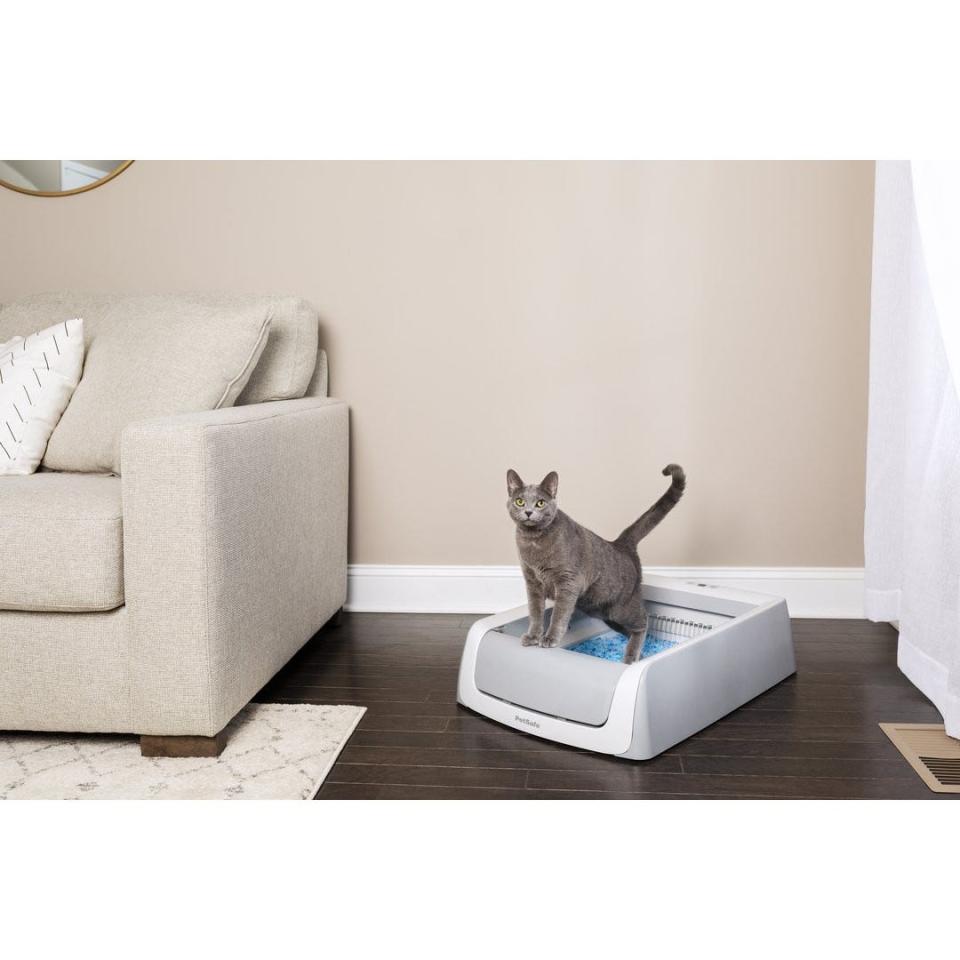 Cleaning the litter box is no fun. But the ScoopFree Self-Cleaning Litter Box ($139.85) from PetSafe does a lot of the dirty work for you.