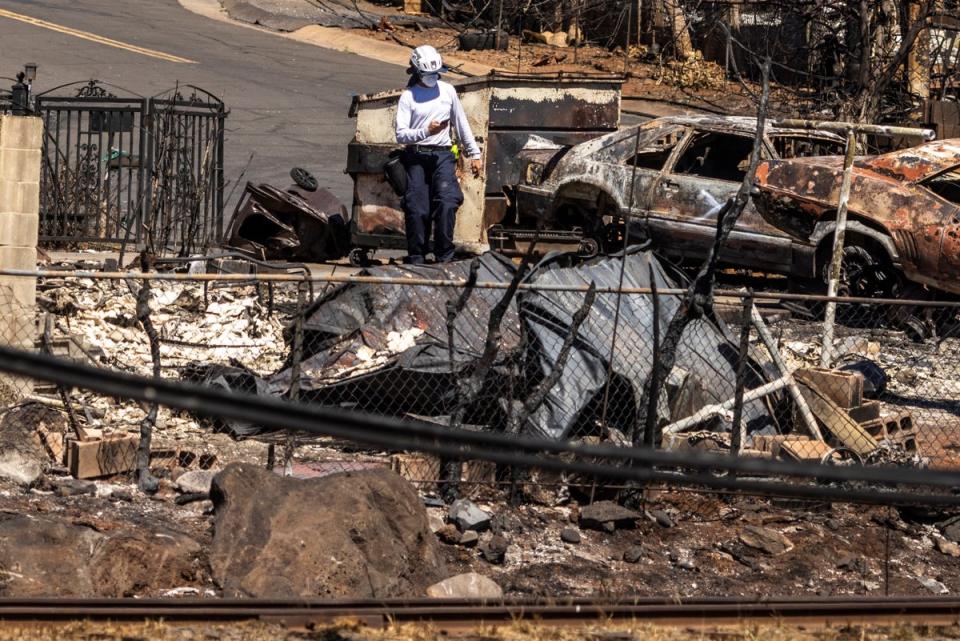 An urban search and rescue crew member searches for human remains at a home destroyed by the West Maui Fire, in Lahaina (San Francisco Chronicle)