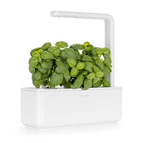 14) Indoor Herb Garden Kit with Grow Light