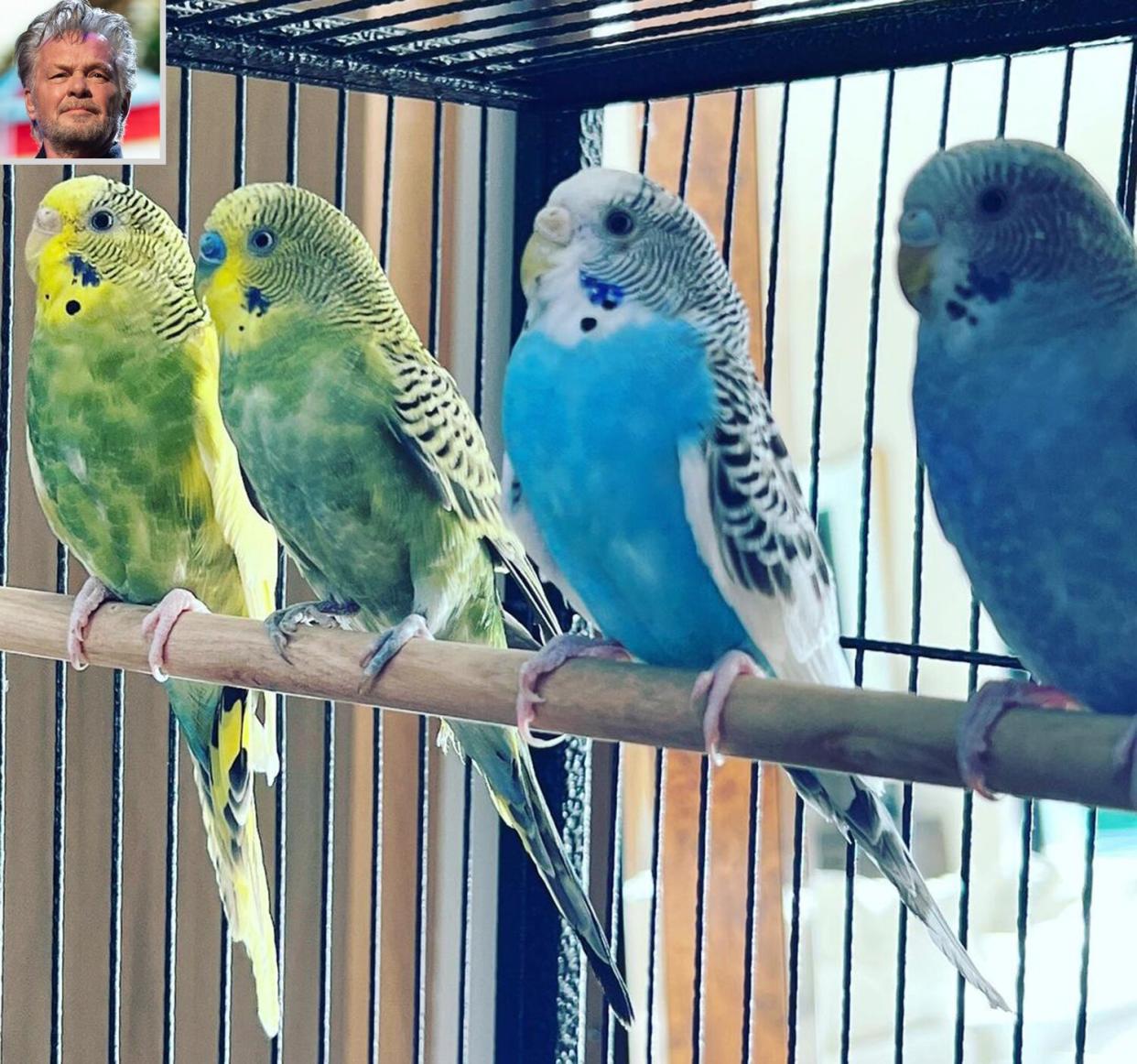 John Mellencamp gifted parakeets to his grandchildren for Easter