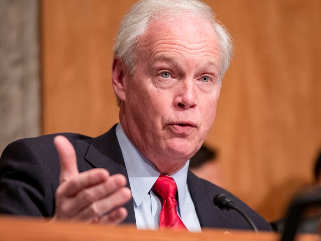 Wisconsin Sen Ron Johnson at a committee hearing  (Getty Images)