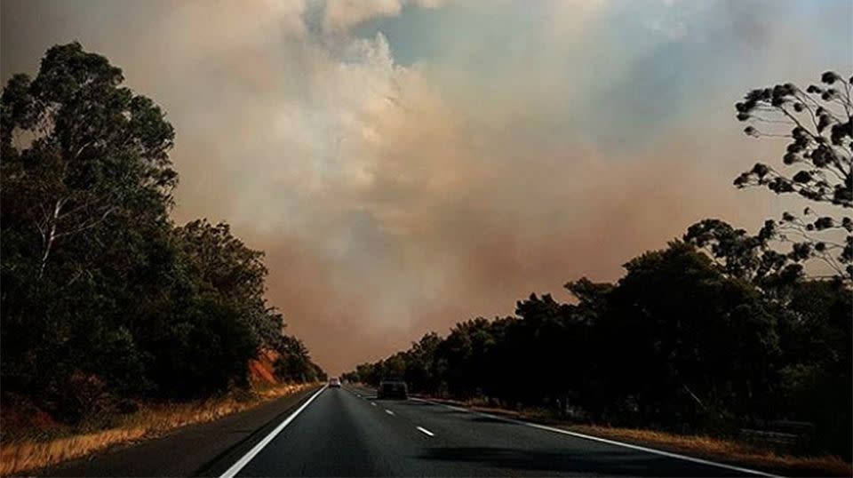 NSW drivers were hampered by the intense dust storm. Source: Instagram/Royal_wulff