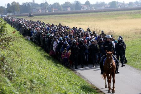 A mounted policeman leads a group of migrants near Dobova, Slovenia October 20, 2015. REUTERS/Srdjan Zivulovic