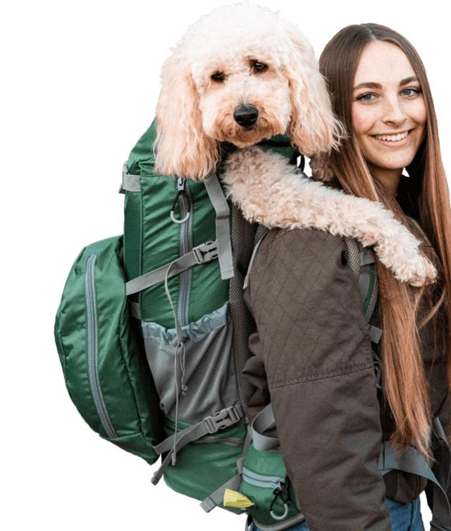 The 17 Best Dog Carriers of 2023 – PureWow