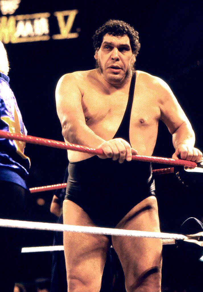 André The Giant - Fezzik