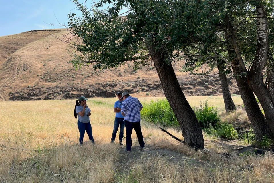 Experts from the Yakama Nation visit a Nike Missile site, which had been used to protect Hanford nuclear site from enemy aircraft, to examine the completed cleanup work and determine future restoration options near Richland, Wash., on June 15, 2023. The site in southeastern Washington state is located on Rattlesnake Mountain, which is considered sacred for Yakama Nation and other tribes. (Rose Ferri via AP)