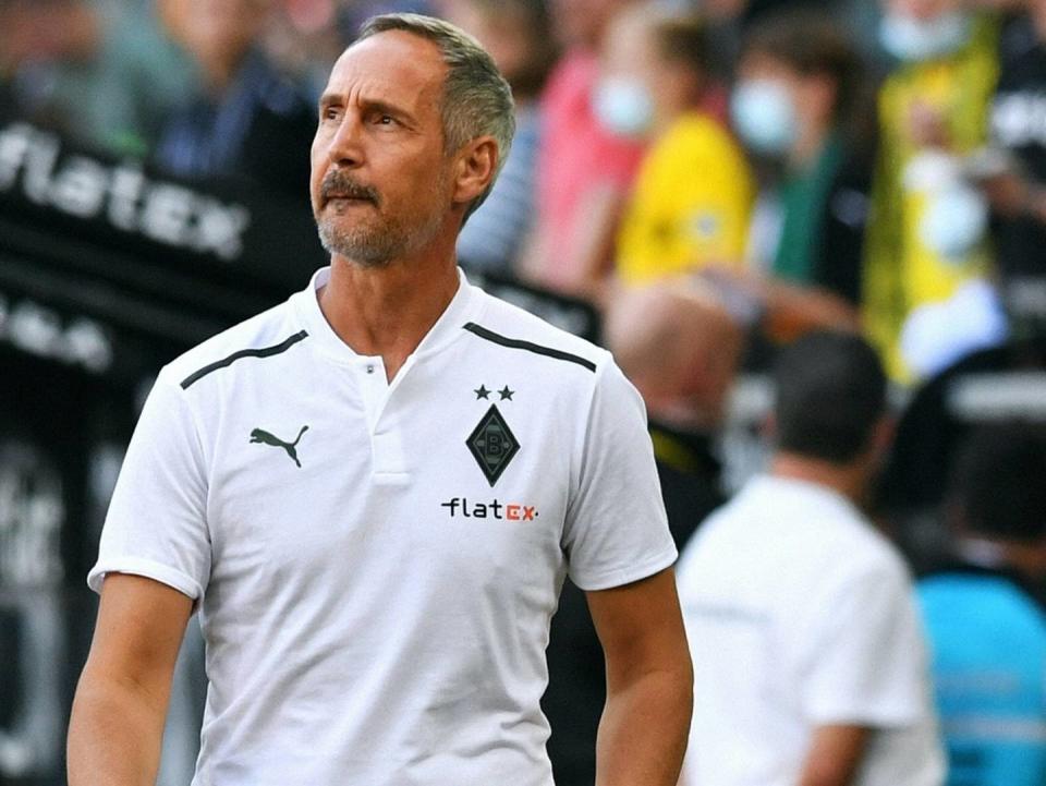 Hütter über Titel mit Gladbach: "Würde nichts Schöneres geben"