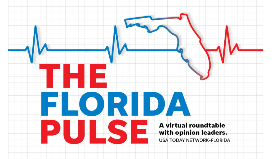 As part of the Florida Pulse series, the Gainesville Sun hosted an online forum Jan. 20 on the problems facing springs and what needs to be done to protect them.